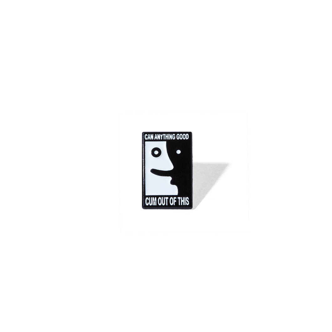 Polar - Anything Goes pin
