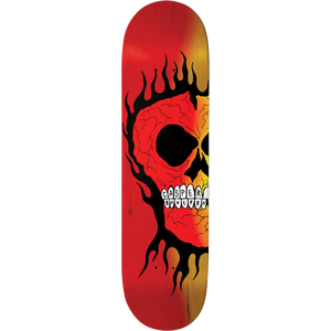 Baker - Casper - Rasta Skull Deck